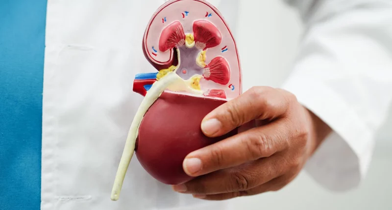 Angiomyolipoma