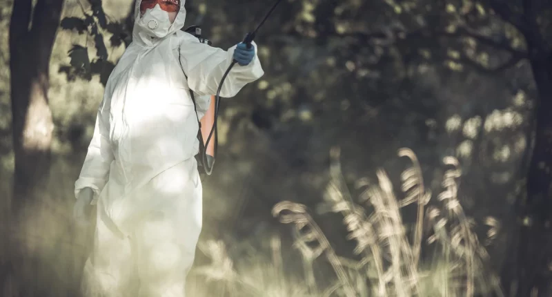 Plague