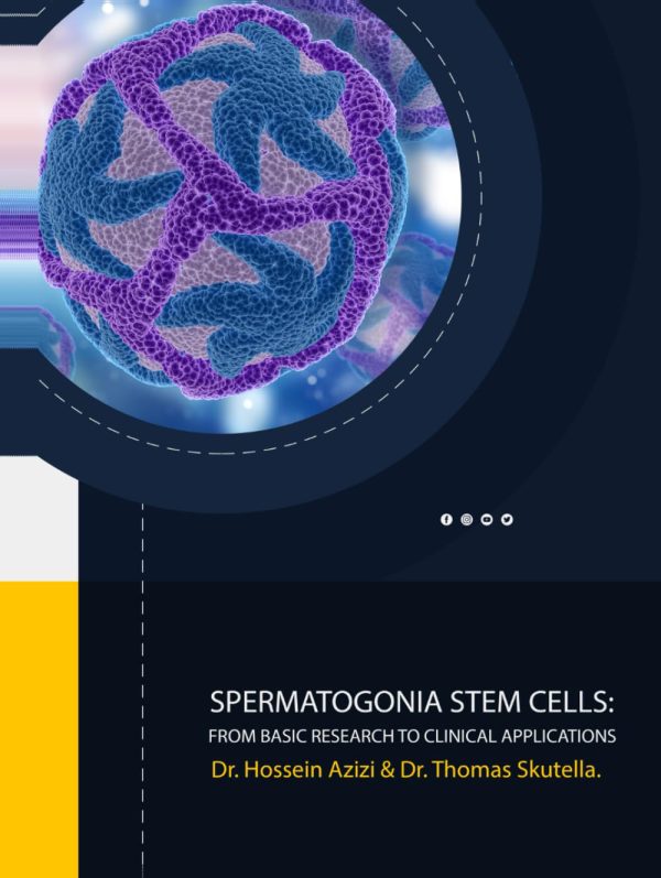 Spermatogonia Stem Cells: From Basic Research To Clinical Applications